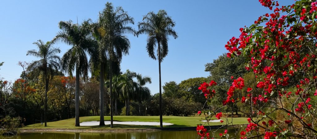 Federação Paulista de Golfe